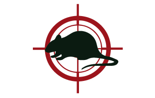 Un traitement par tir