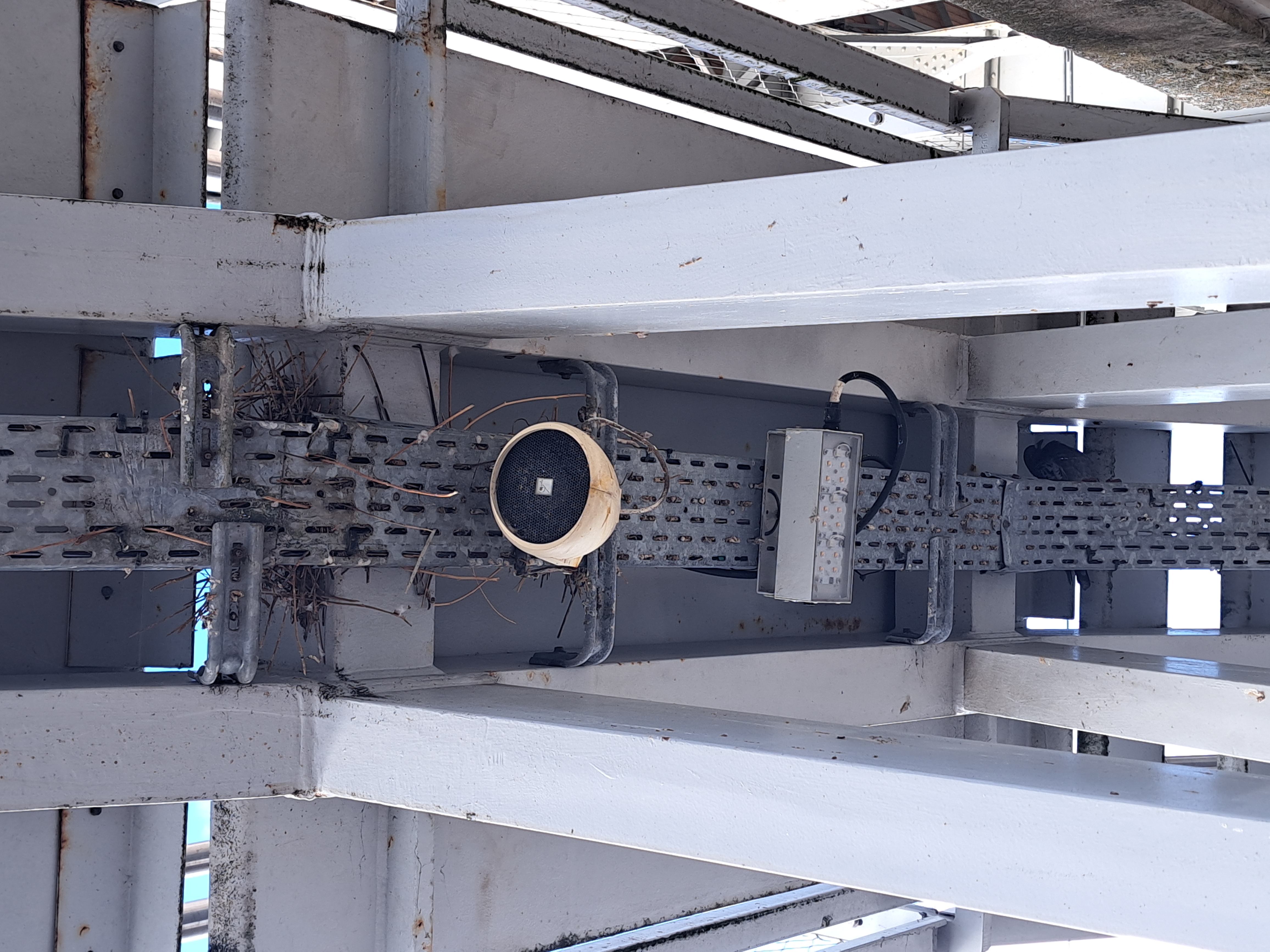 Dépigeonnage d'une Gare SNCF