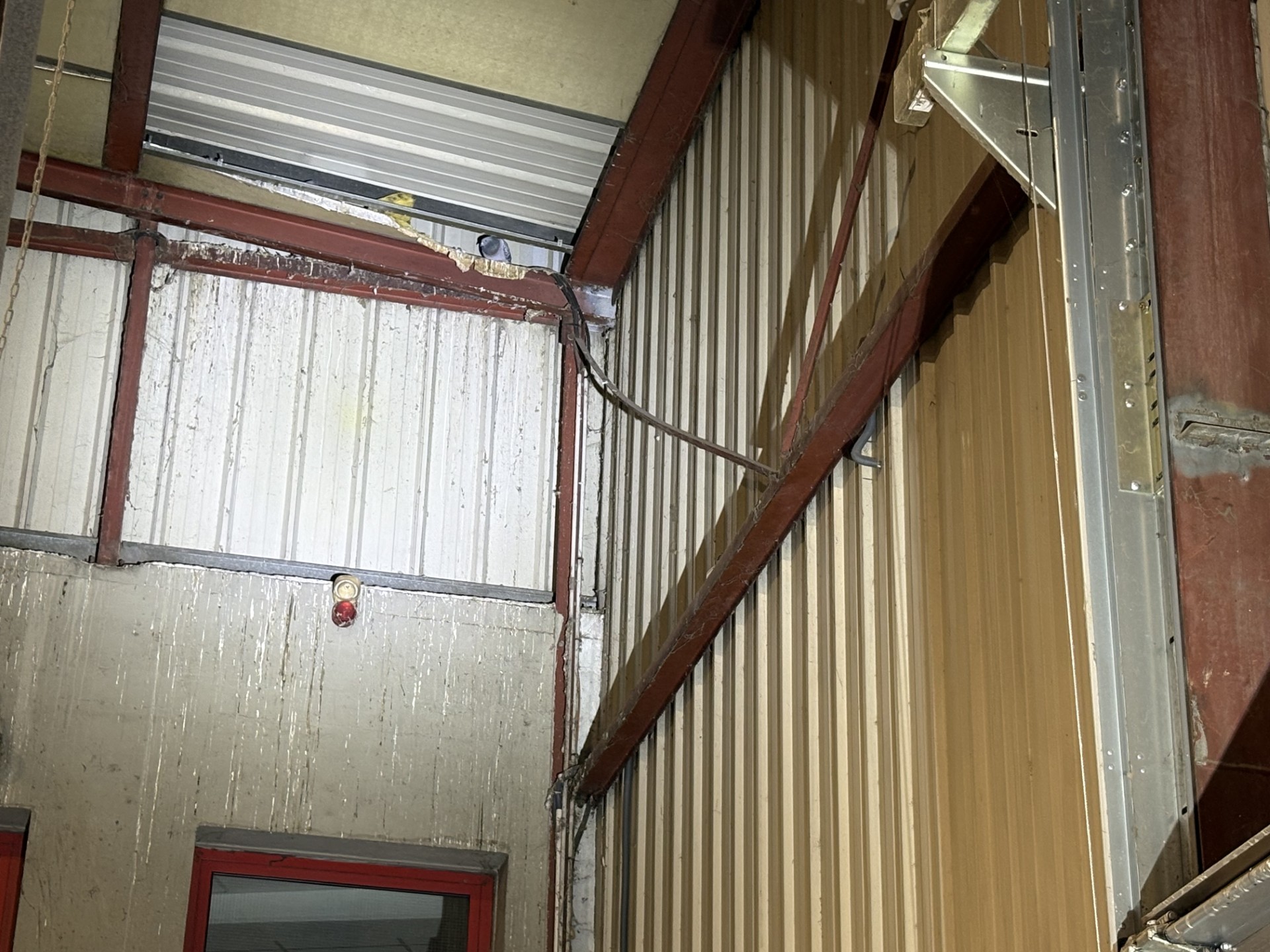 Dépigeonnisation / Dépigeonnage