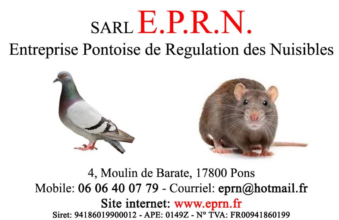 Désinsectisation en Charente-Maritime - EPRN Pons