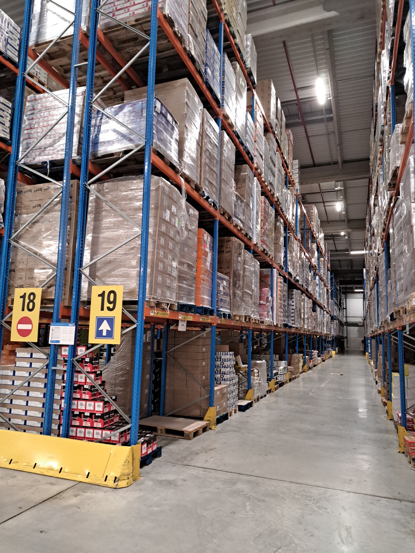 Dératisation par tir